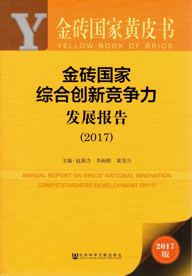 插日夲老阿姨在线播放金砖国家综合创新竞争力发展报告（2017）